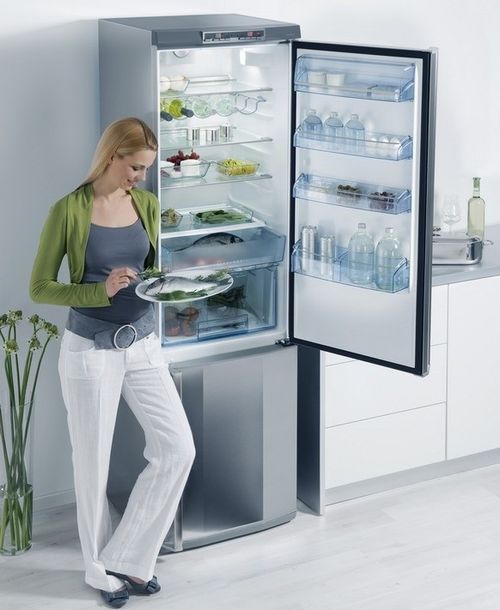 Холодильник с системой Ноу Фрост.