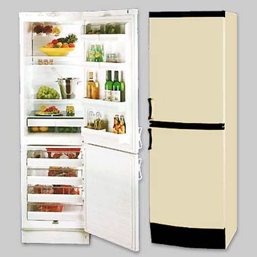 Холодильник с нижней морозильной камерой Vestfrost BKF 404-25 BE