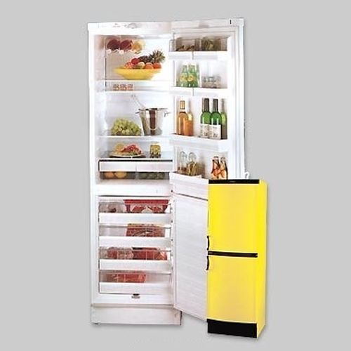 Холодильник с нижней морозильной камерой Vestfrost BKF 404 B04H Y