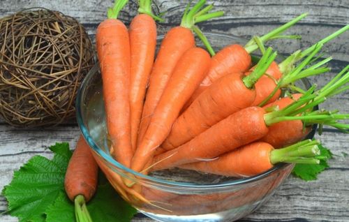 Морковь в холодильнике: сколько можно хранить и как правильно