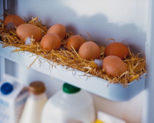 Хранение яиц в опилках
